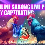 This Online Sabong Live Platform is Truly Captivating